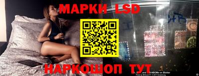 гашик Будённовск