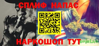 гашик Будённовск
