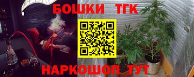 гашик Будённовск