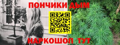 гашик Будённовск