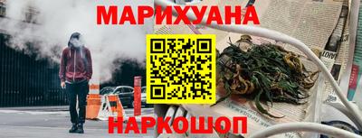 гашик Будённовск