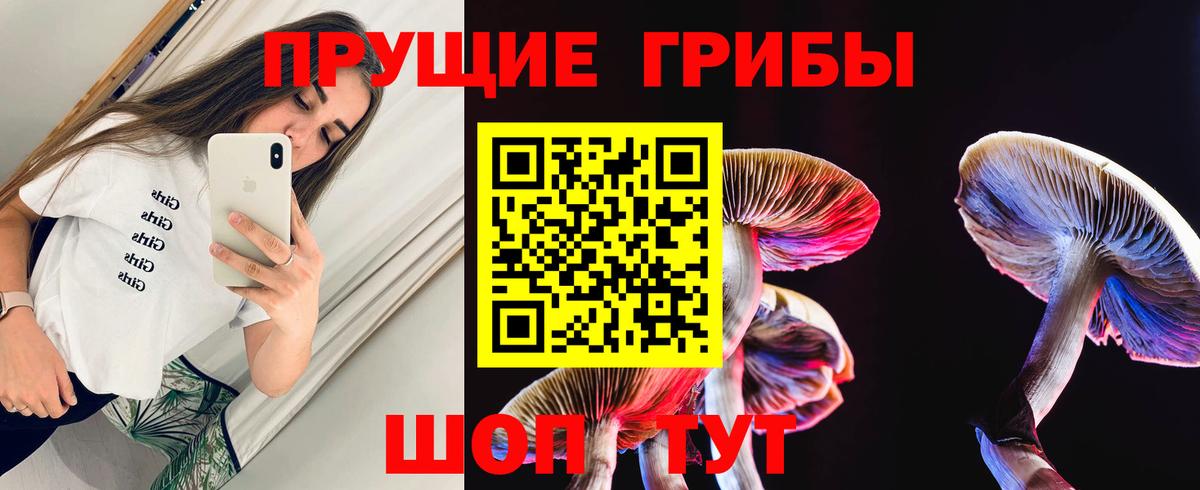 Псилоцибиновые грибы MAGIC MUSHROOMS  Галлюциногенные грибы Cubensis  Вход с VPN  Новочеркасск 