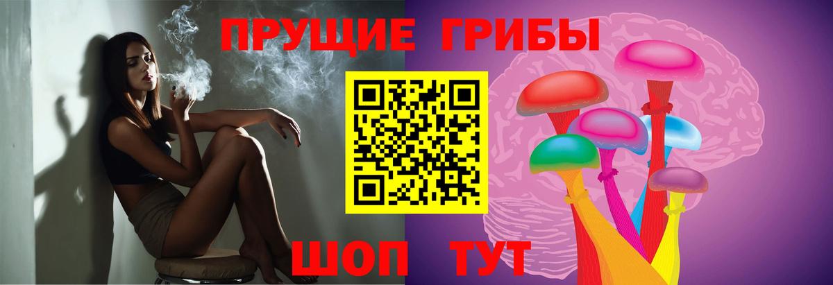Галлюциногенные грибы Psilocybe Новочеркасск